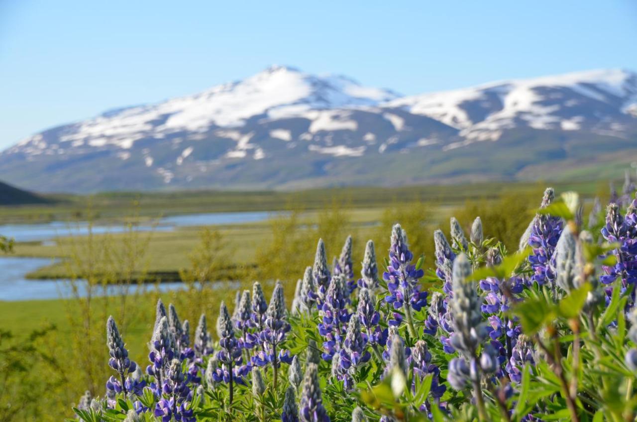 Asholl Guesthouse - Farmstay Akureyri Exterior photo