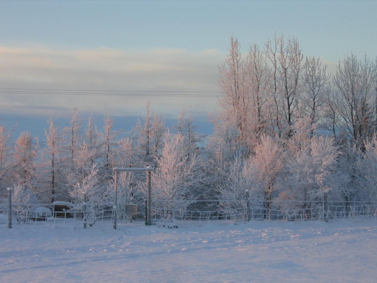 Asholl Guesthouse - Farmstay Akureyri Exterior photo